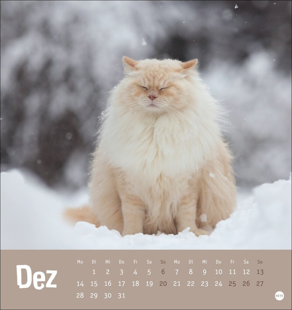 Weitere Ansicht: Tierisch entspannte Katzen Postkartenkalender 2026