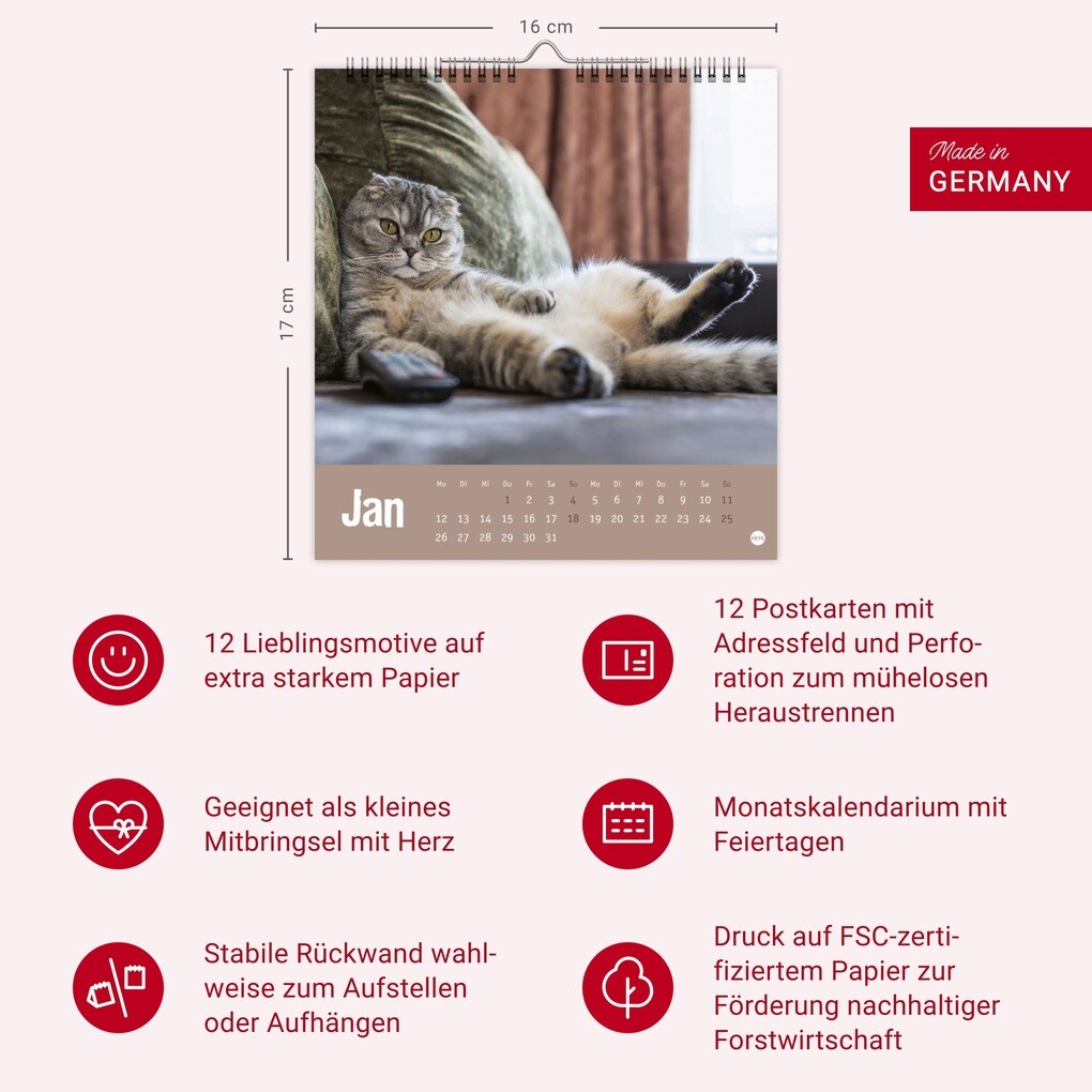 Weitere Ansicht: Tierisch entspannte Katzen Postkartenkalender 2026