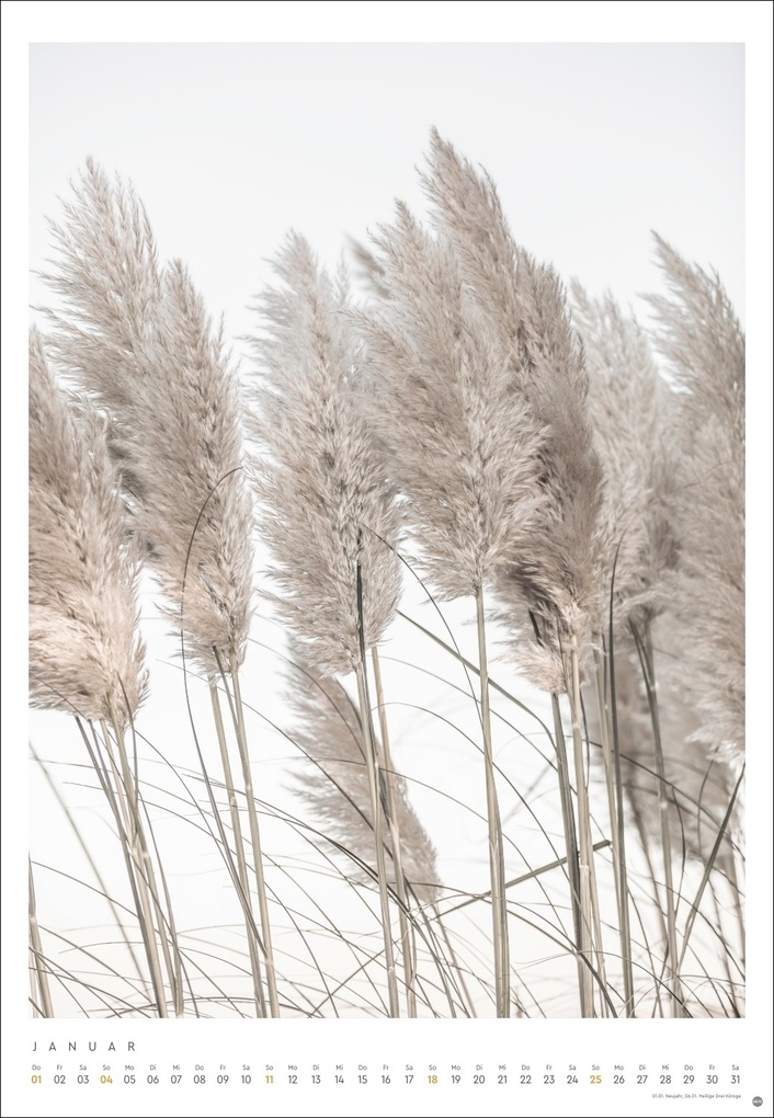 Weitere Ansicht: Mareike Böhmer: pure & simple Kalender 2026