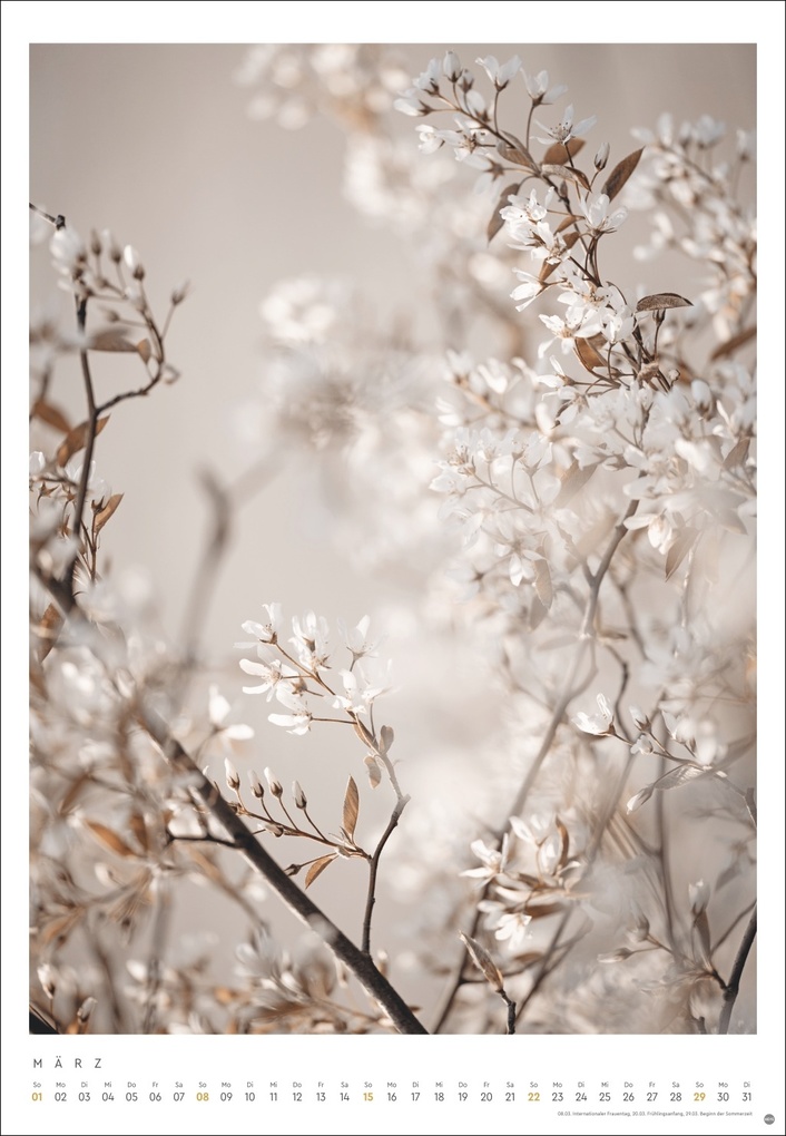 Weitere Ansicht: Mareike Böhmer: pure & simple Kalender 2026