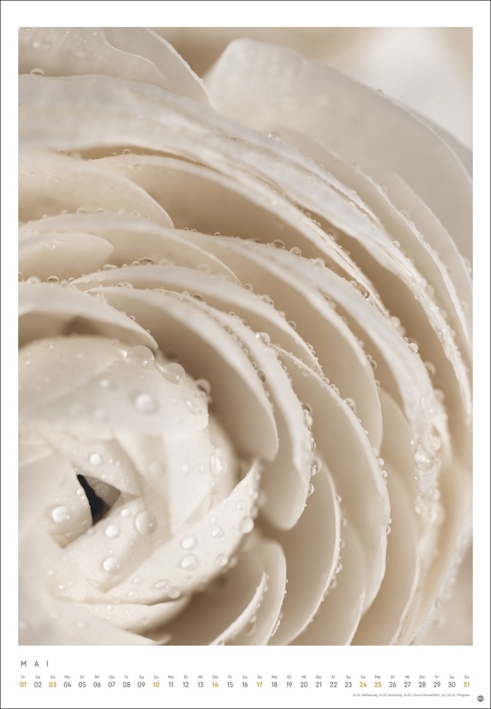 Weitere Ansicht: Mareike Böhmer: pure & simple Kalender 2026