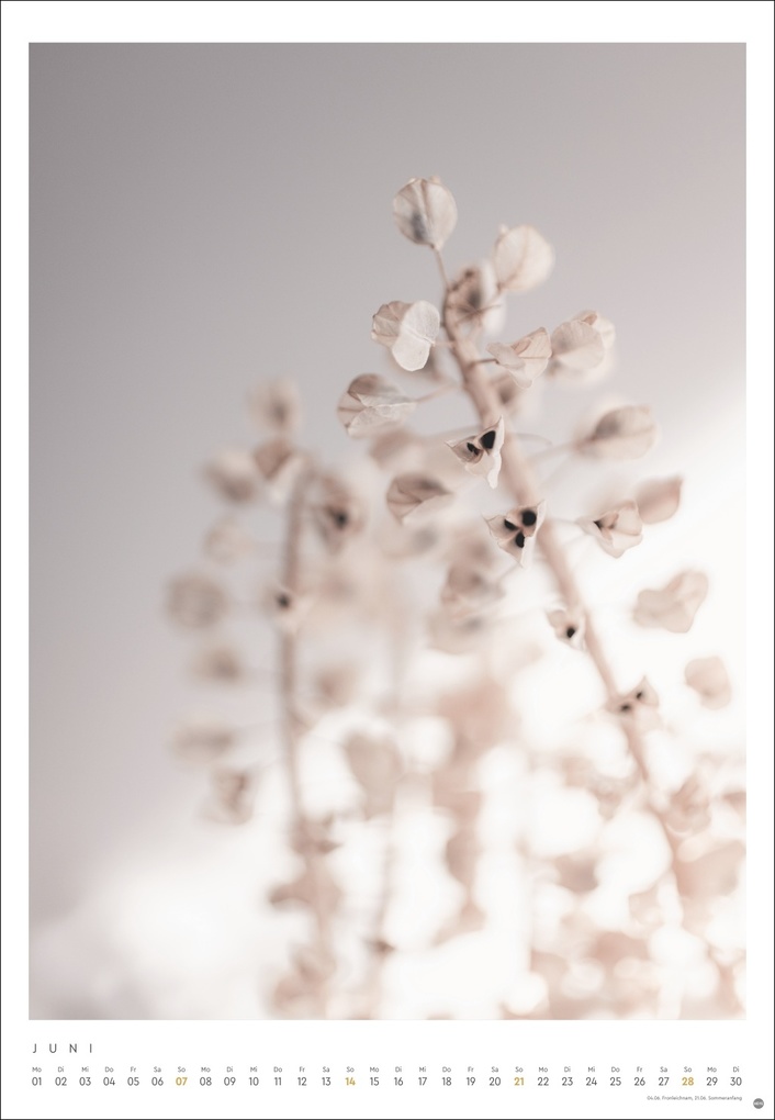 Weitere Ansicht: Mareike Böhmer: pure & simple Kalender 2026