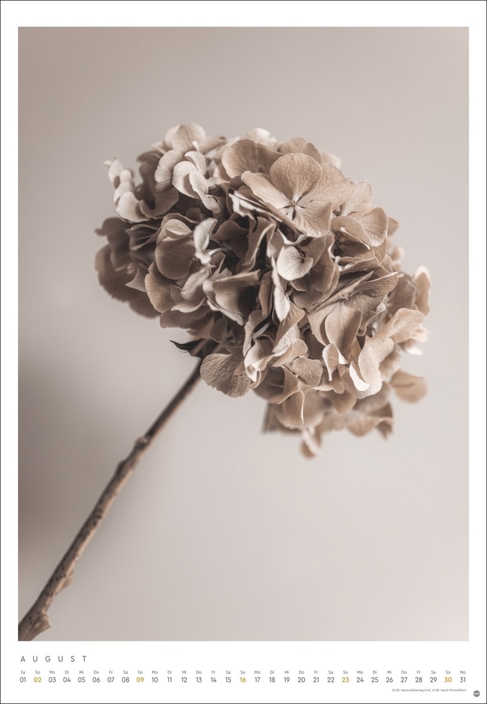 Weitere Ansicht: Mareike Böhmer: pure & simple Kalender 2026