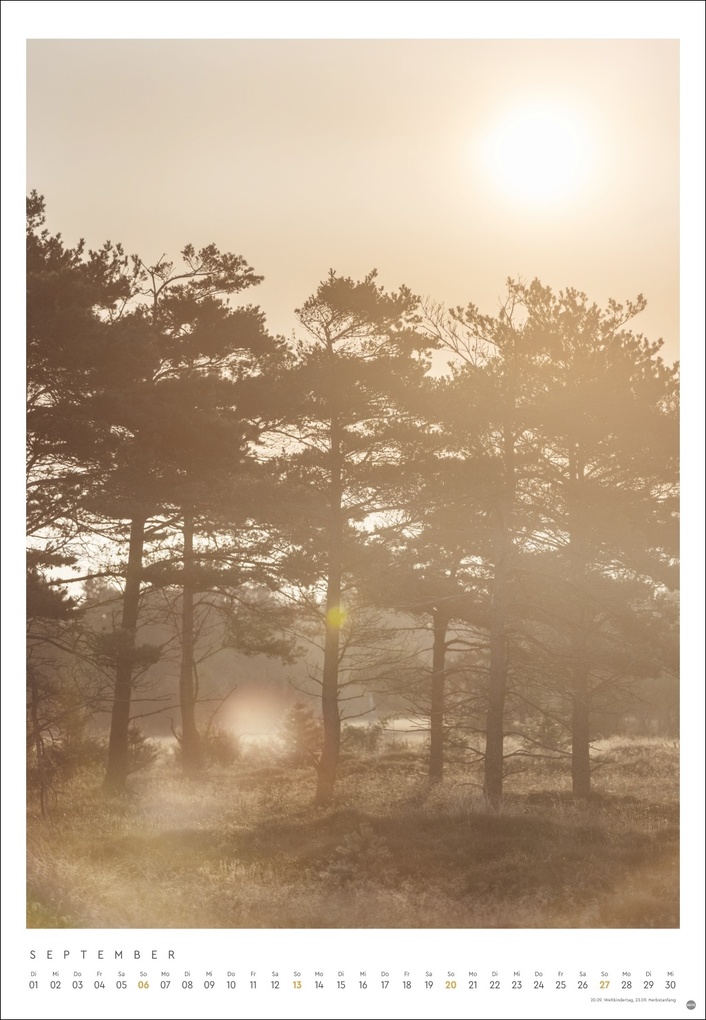 Weitere Ansicht: Mareike Böhmer: pure & simple Kalender 2026