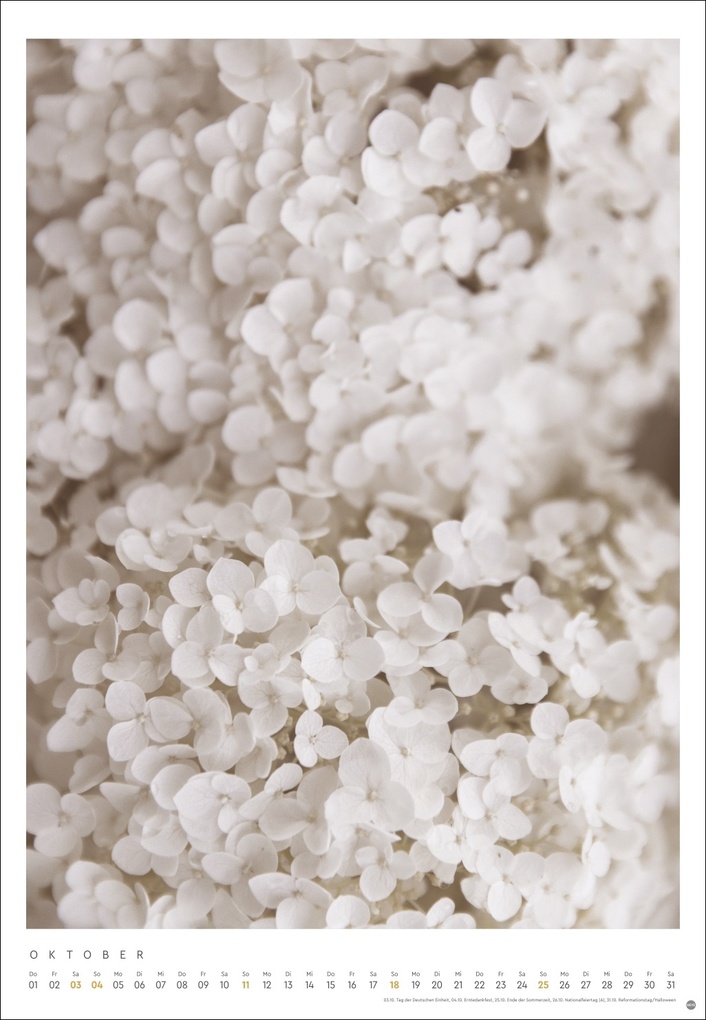 Weitere Ansicht: Mareike Böhmer: pure & simple Kalender 2026