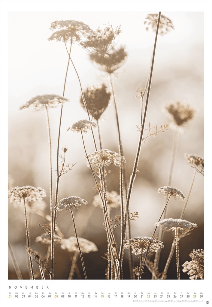 Weitere Ansicht: Mareike Böhmer: pure & simple Kalender 2026