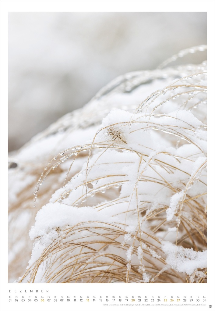 Weitere Ansicht: Mareike Böhmer: pure & simple Kalender 2026