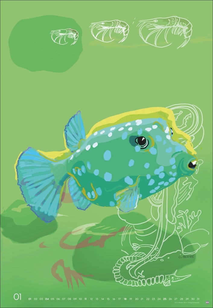 Weitere Ansicht: Zauber der Meere Posterkalender 2026 | Chris Menke