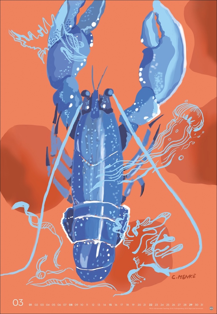 Weitere Ansicht: Zauber der Meere Posterkalender 2026 | Chris Menke