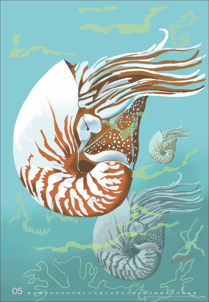 Weitere Ansicht: Zauber der Meere Posterkalender 2026 | Chris Menke