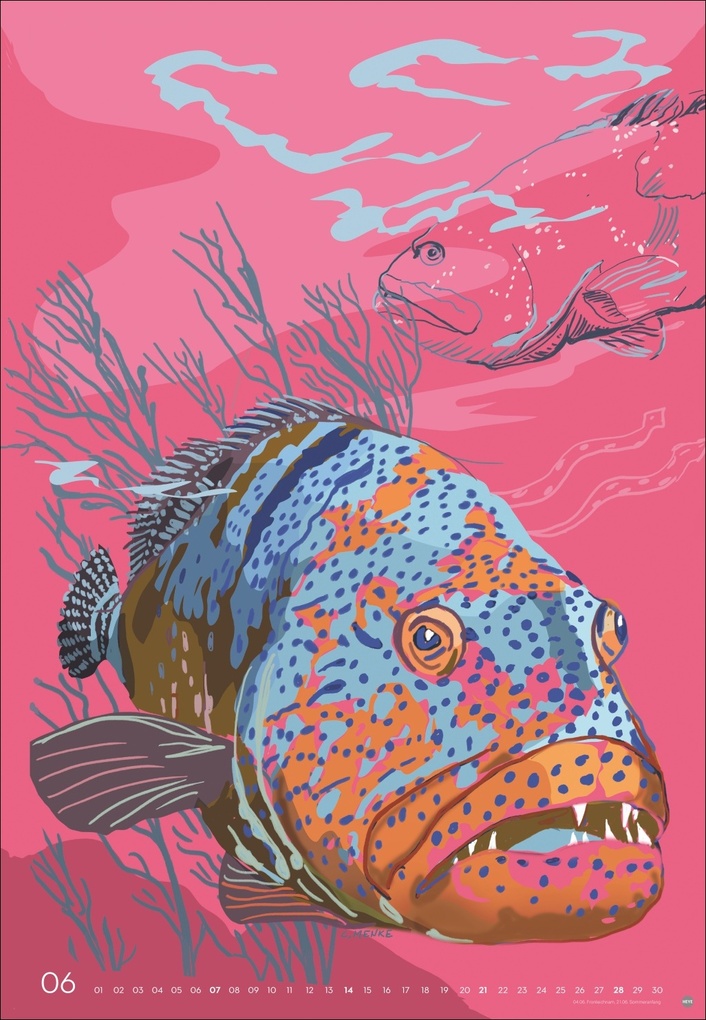 Weitere Ansicht: Zauber der Meere Posterkalender 2026 | Chris Menke