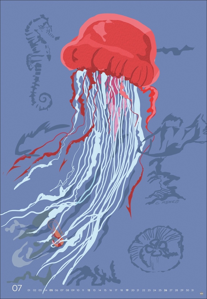 Weitere Ansicht: Zauber der Meere Posterkalender 2026 | Chris Menke