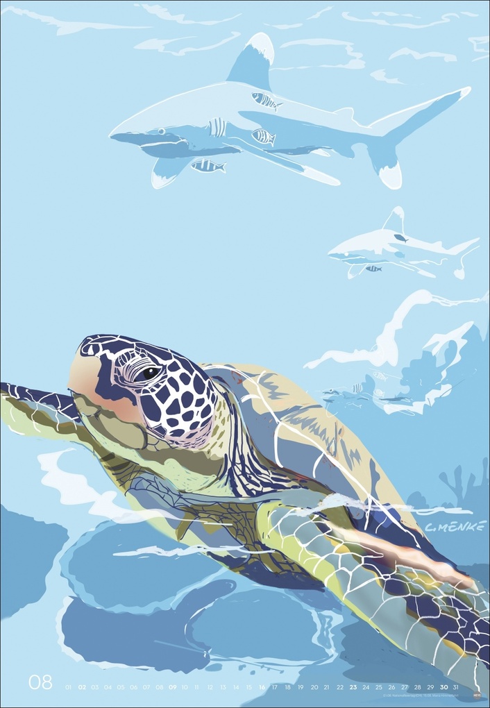 Weitere Ansicht: Zauber der Meere Posterkalender 2026 | Chris Menke