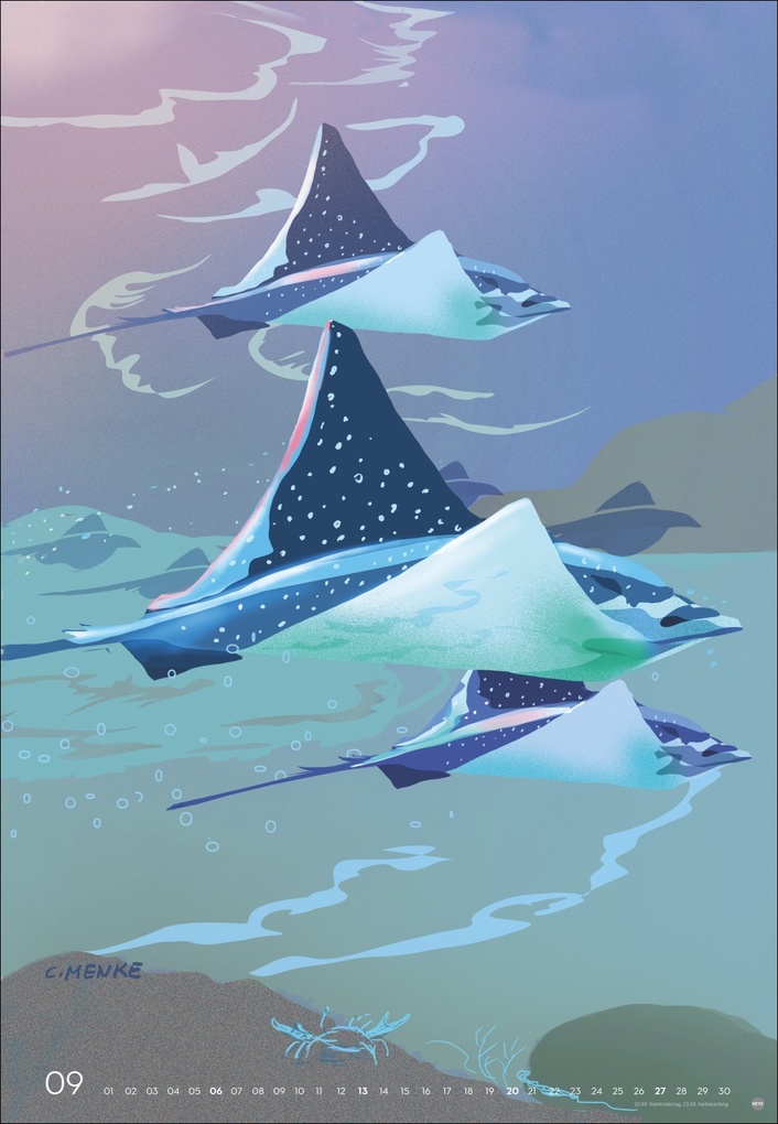 Weitere Ansicht: Zauber der Meere Posterkalender 2026 | Chris Menke