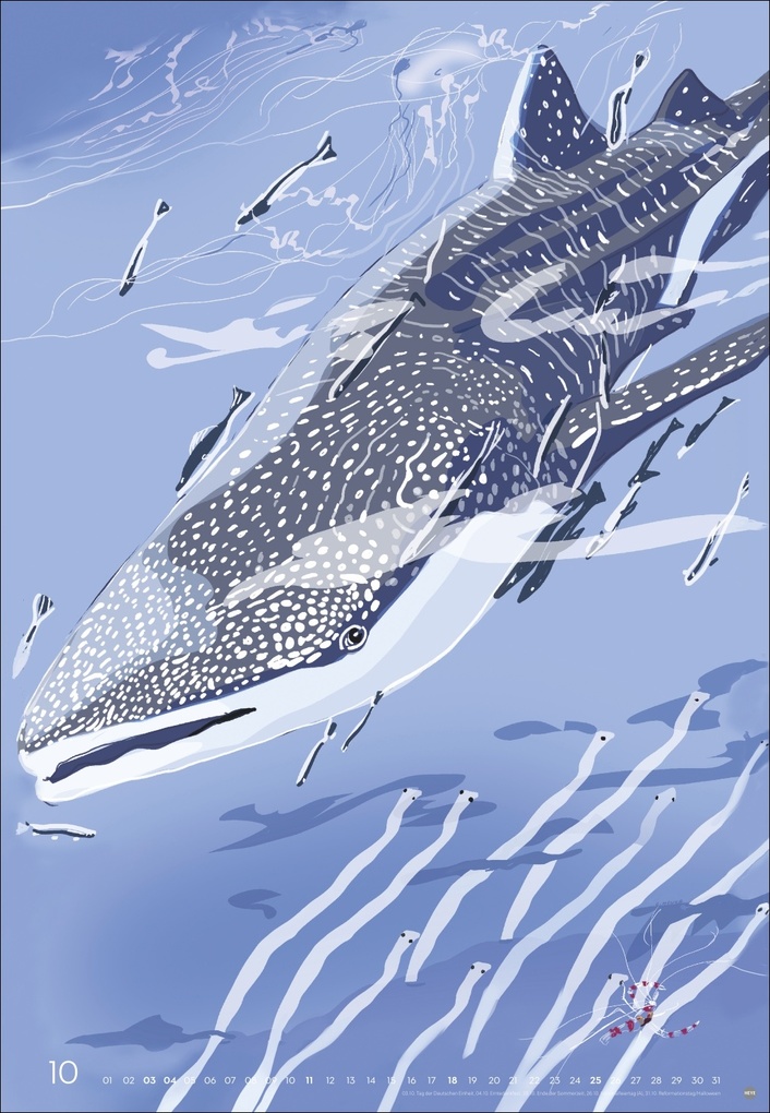 Weitere Ansicht: Zauber der Meere Posterkalender 2026 | Chris Menke