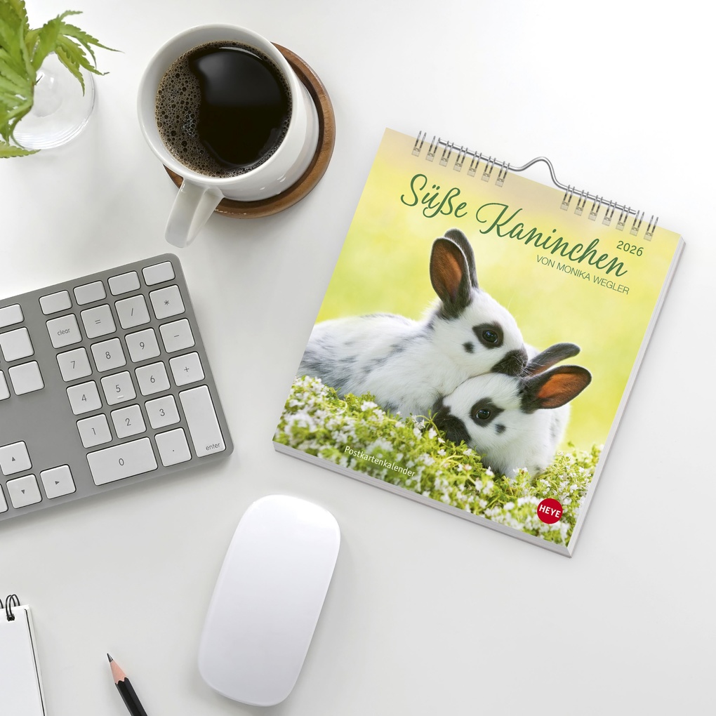Weitere Ansicht: Süße Kaninchen Postkartenkalender 2026