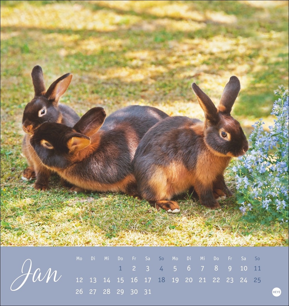 Weitere Ansicht: Süße Kaninchen Postkartenkalender 2026