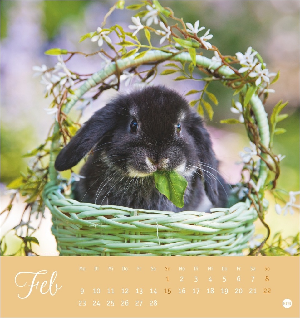 Weitere Ansicht: Süße Kaninchen Postkartenkalender 2026