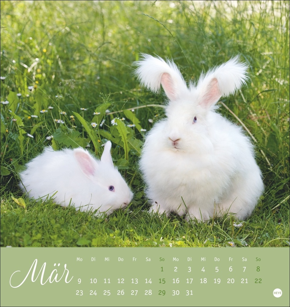 Weitere Ansicht: Süße Kaninchen Postkartenkalender 2026