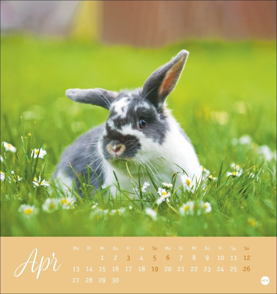 Weitere Ansicht: Süße Kaninchen Postkartenkalender 2026