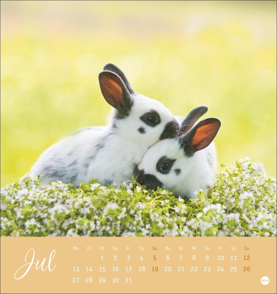 Weitere Ansicht: Süße Kaninchen Postkartenkalender 2026