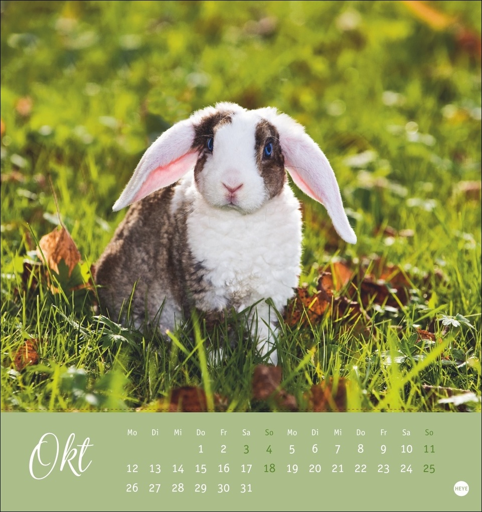 Weitere Ansicht: Süße Kaninchen Postkartenkalender 2026
