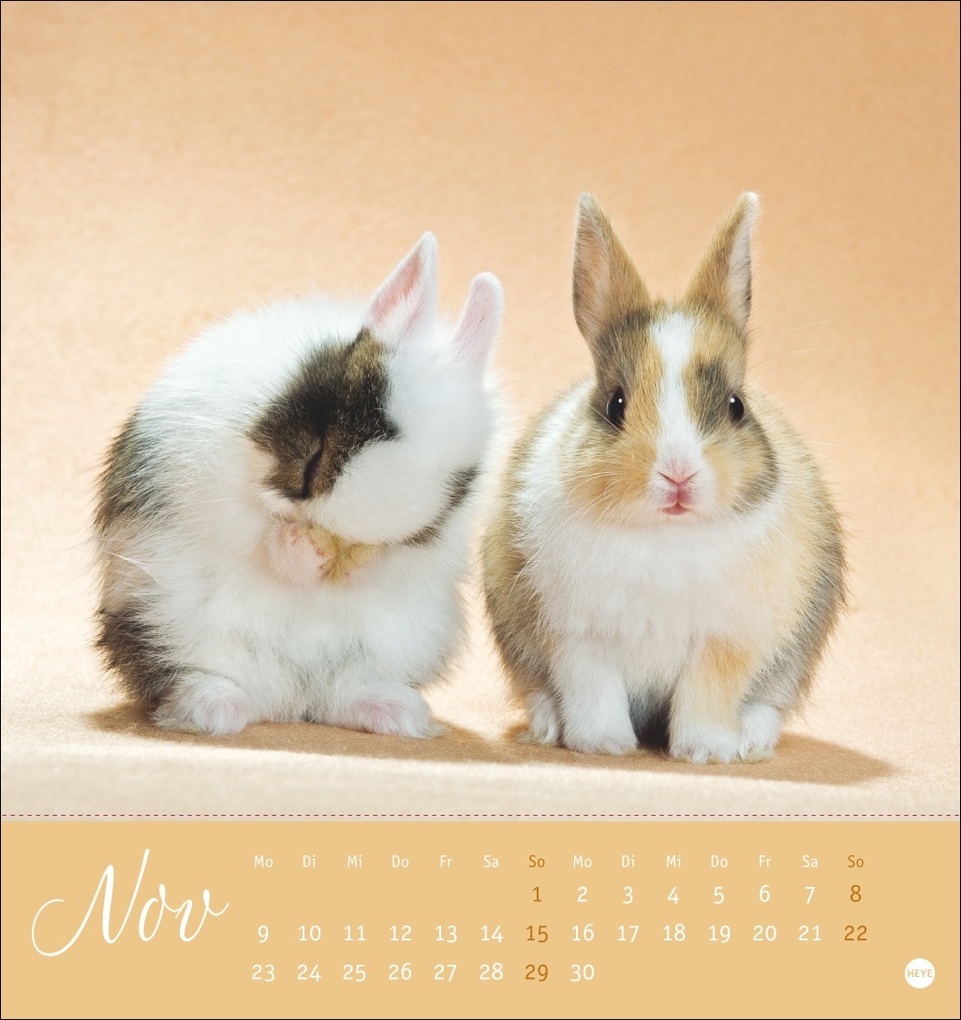 Weitere Ansicht: Süße Kaninchen Postkartenkalender 2026