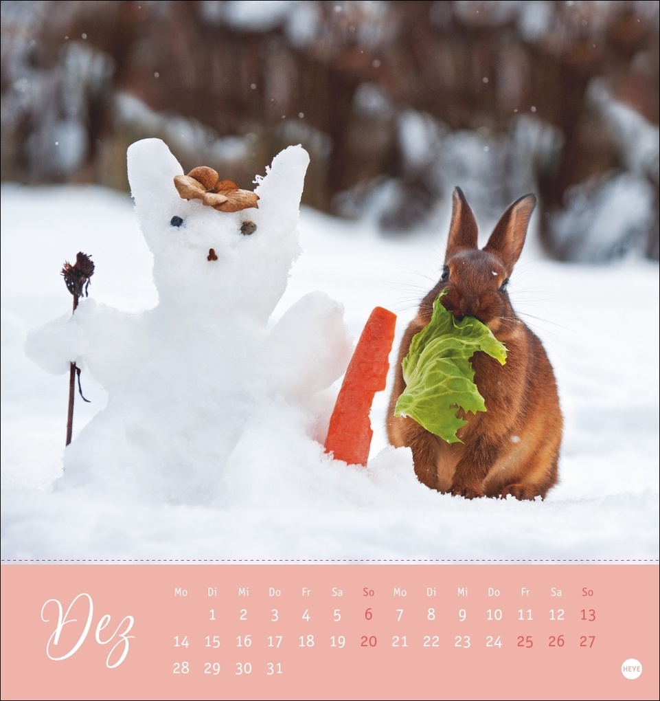 Weitere Ansicht: Süße Kaninchen Postkartenkalender 2026