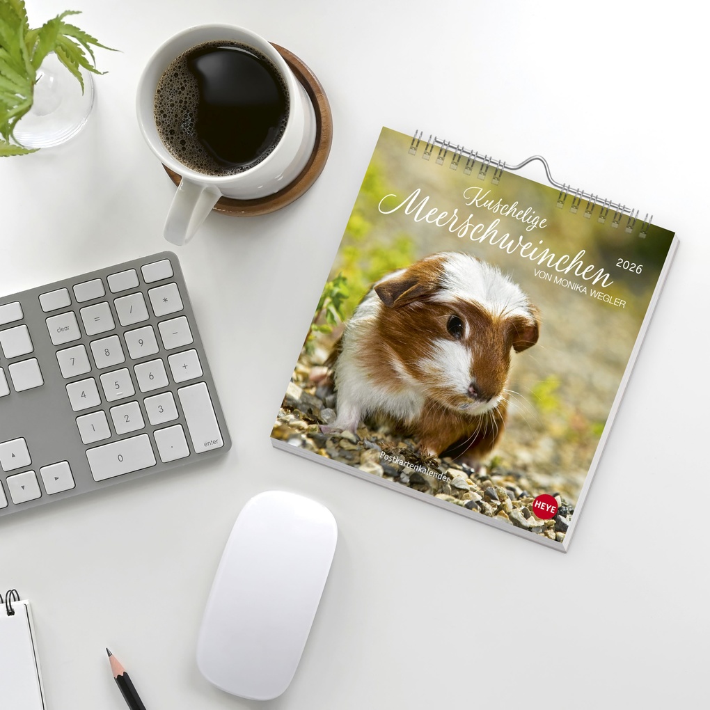Weitere Ansicht: Kuschelige Meerschweinchen Postkartenkalender 2026