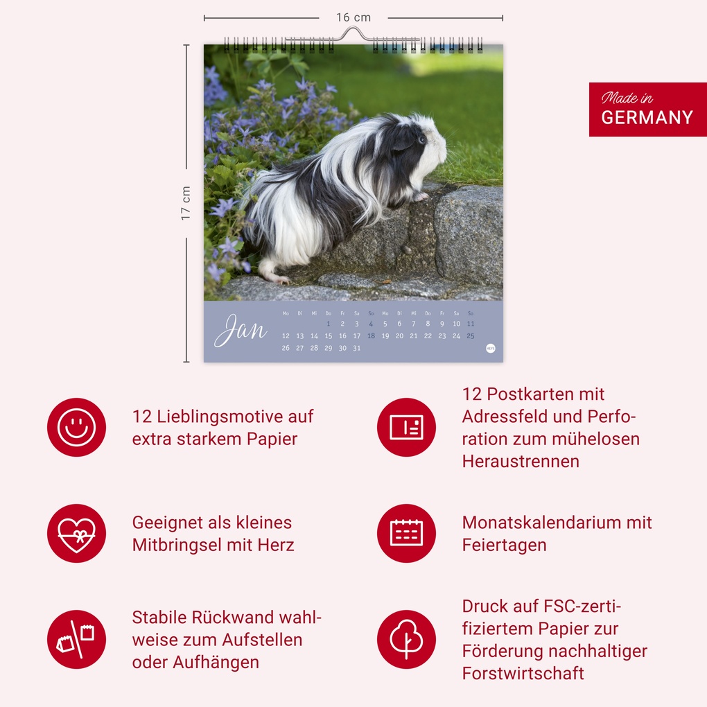 Weitere Ansicht: Kuschelige Meerschweinchen Postkartenkalender 2026