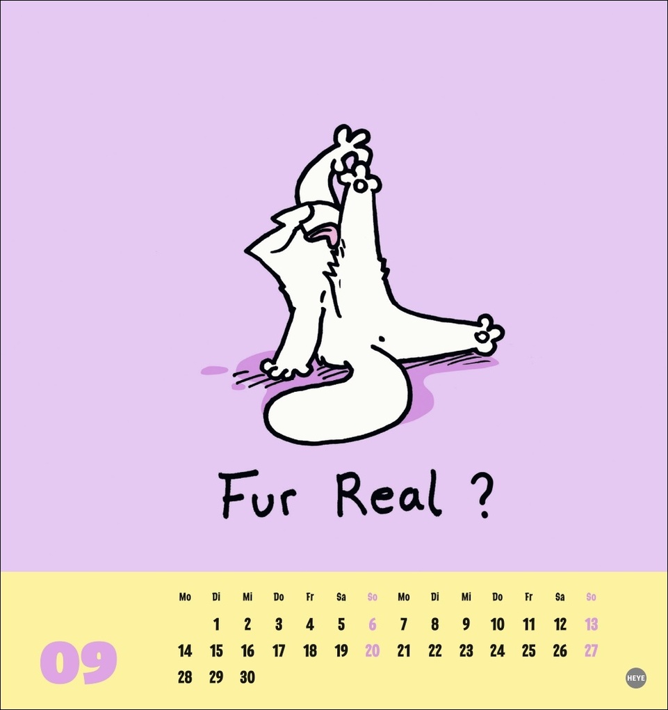 Weitere Ansicht: Simons Katze Postkartenkalender 2026
