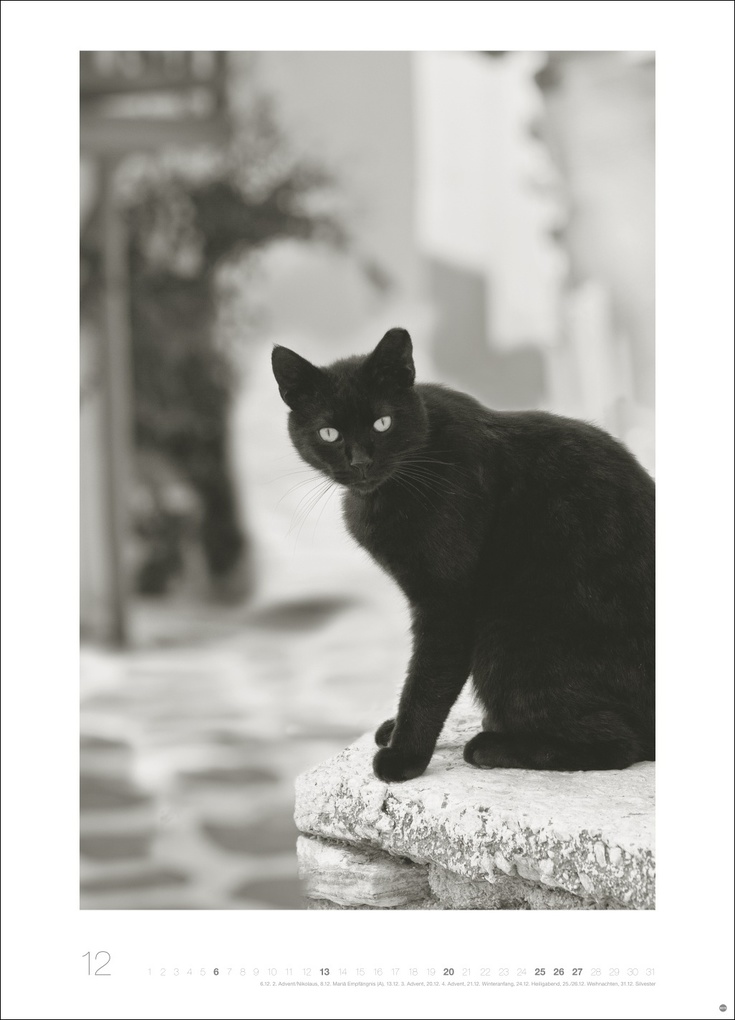 Weitere Ansicht: Cats Edition Kalender 2026