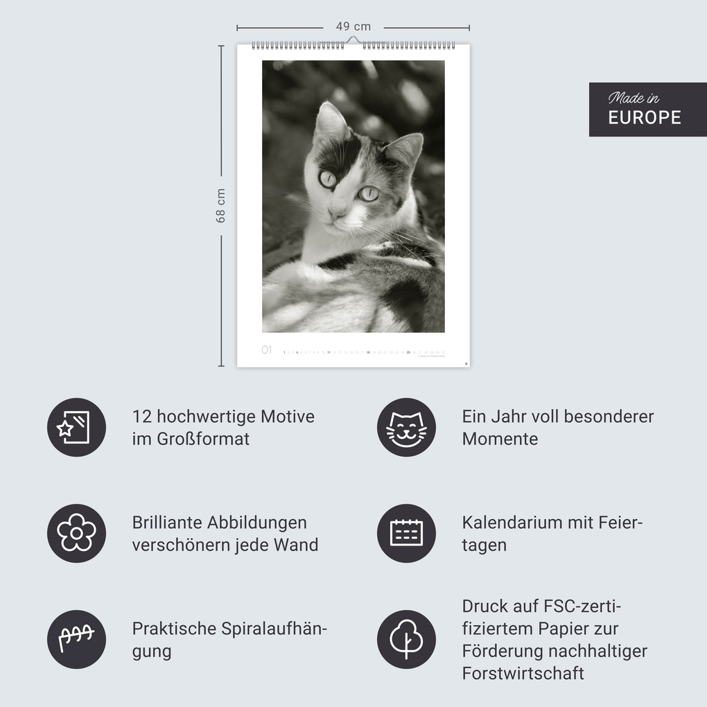 Weitere Ansicht: Cats Edition Kalender 2026