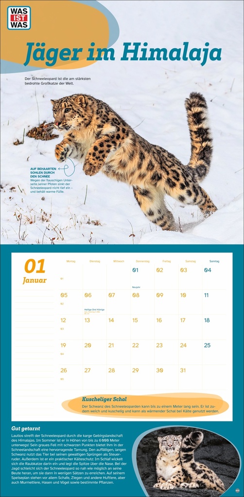 Weitere Ansicht: WAS IST WAS Tierwelt Broschurkalender 2026