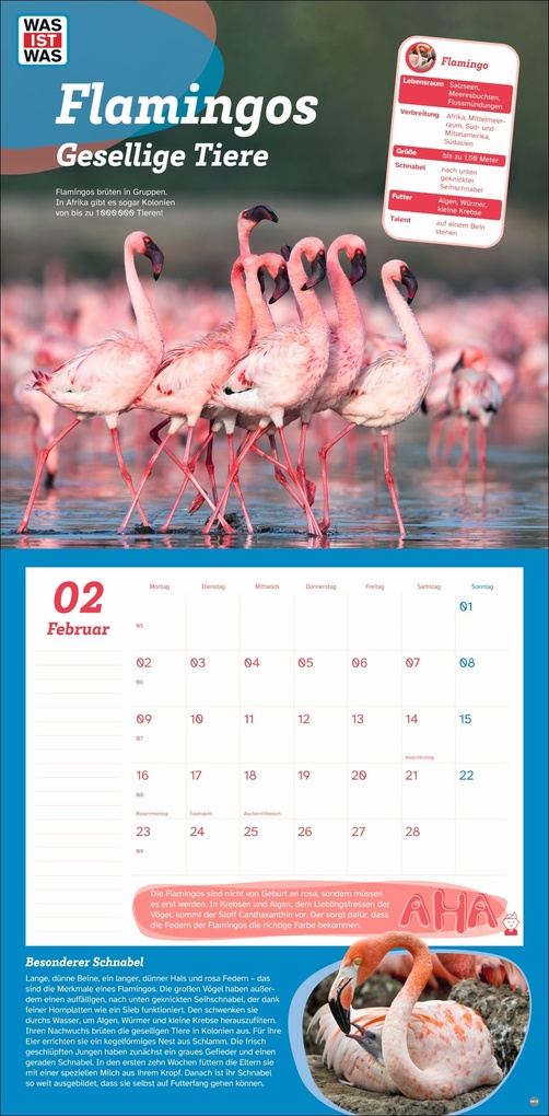 Weitere Ansicht: WAS IST WAS Tierwelt Broschurkalender 2026