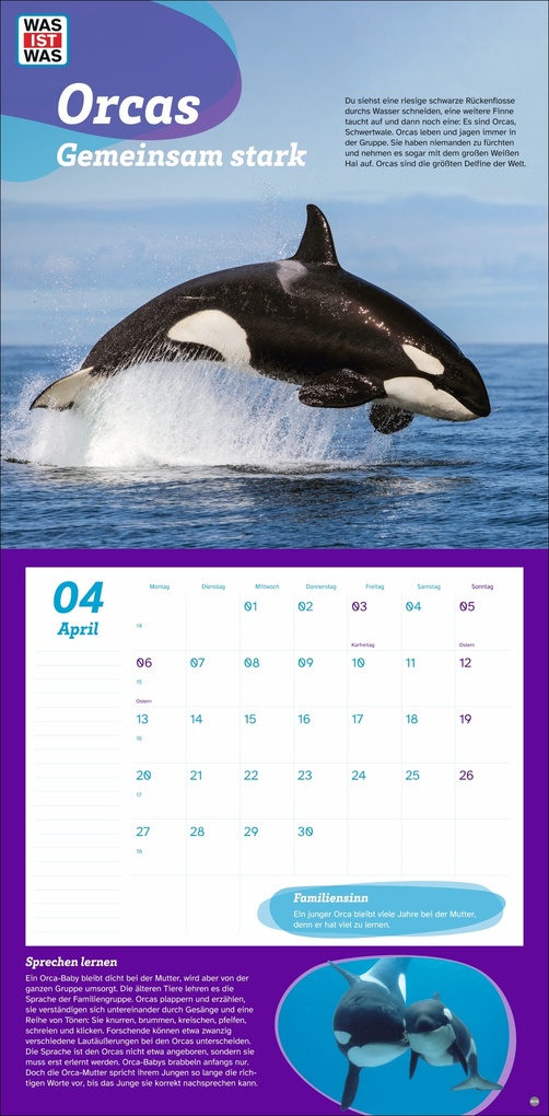 Weitere Ansicht: WAS IST WAS Tierwelt Broschurkalender 2026