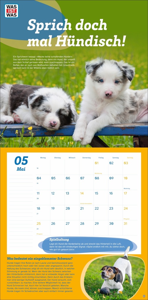 Weitere Ansicht: WAS IST WAS Tierwelt Broschurkalender 2026