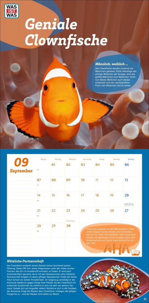 Weitere Ansicht: WAS IST WAS Tierwelt Broschurkalender 2026