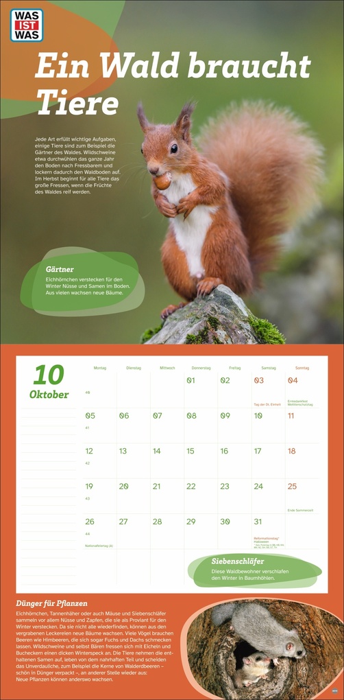 Weitere Ansicht: WAS IST WAS Tierwelt Broschurkalender 2026