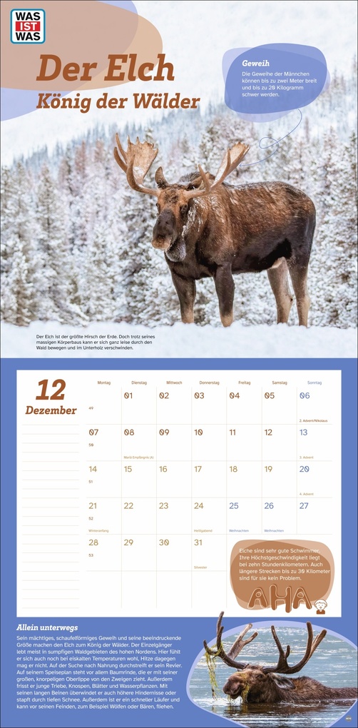 Weitere Ansicht: WAS IST WAS Tierwelt Broschurkalender 2026