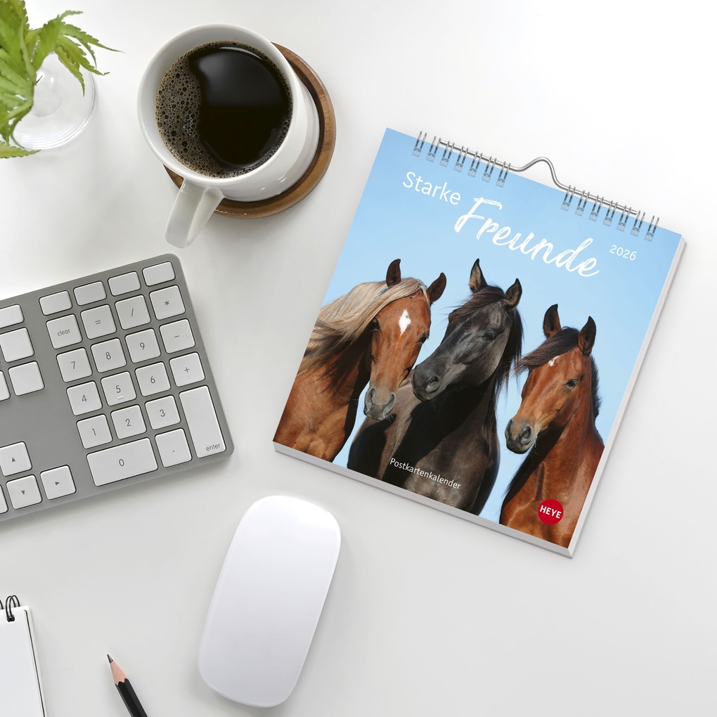 Weitere Ansicht: Pferde Postkartenkalender 2026 - Starke Freunde