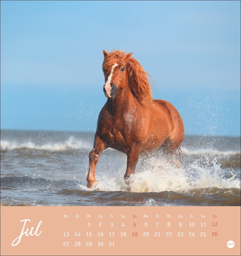 Weitere Ansicht: Pferde Postkartenkalender 2026 - Starke Freunde