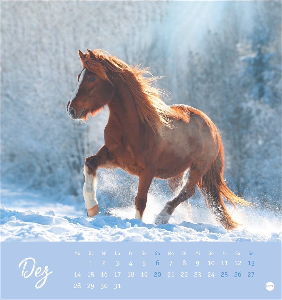 Weitere Ansicht: Pferde Postkartenkalender 2026 - Starke Freunde