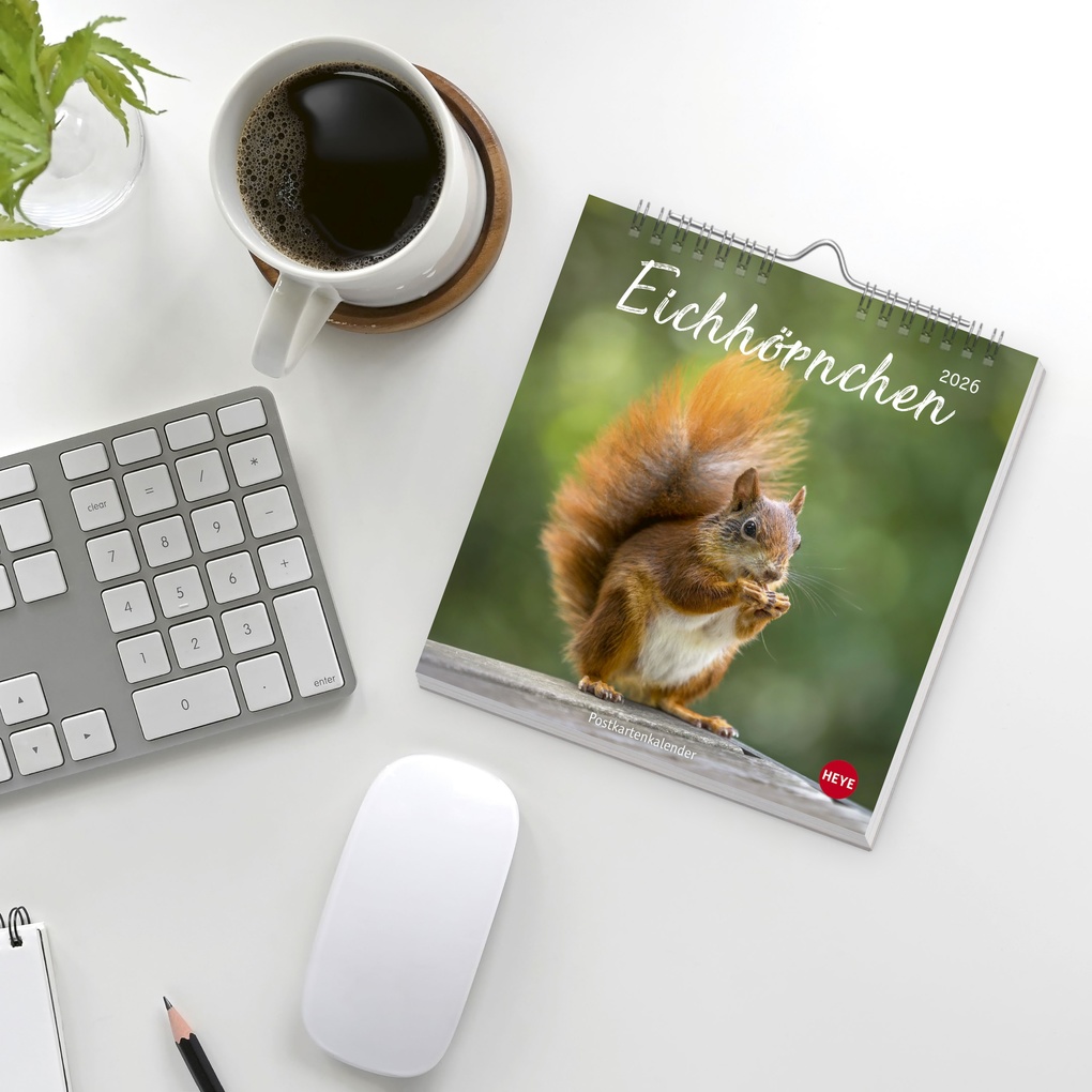 Weitere Ansicht: Eichhörnchen Postkartenkalender 2026