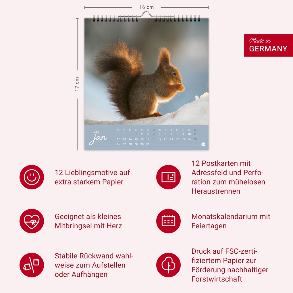 Weitere Ansicht: Eichhörnchen Postkartenkalender 2026