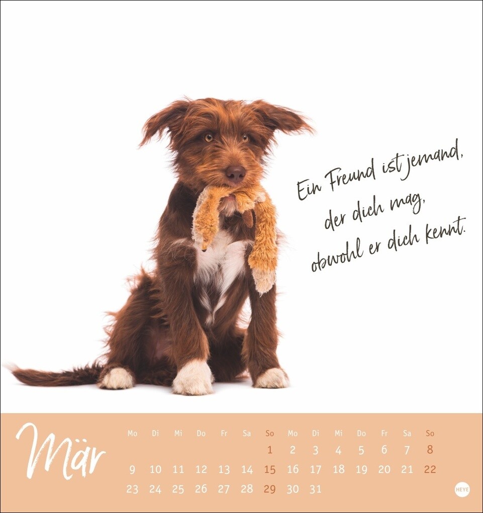 Weitere Ansicht: Ziemlich beste Freunde Postkartenkalender 2026 - Für immer dein