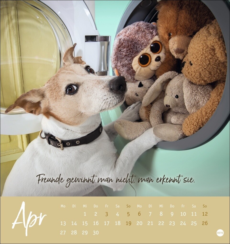 Weitere Ansicht: Ziemlich beste Freunde Postkartenkalender 2026 - Für immer dein