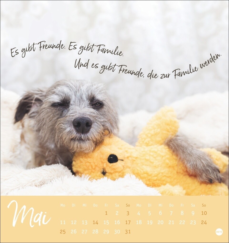 Weitere Ansicht: Ziemlich beste Freunde Postkartenkalender 2026 - Für immer dein