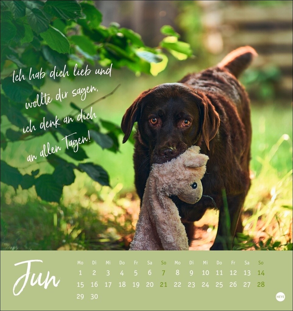 Weitere Ansicht: Ziemlich beste Freunde Postkartenkalender 2026 - Für immer dein