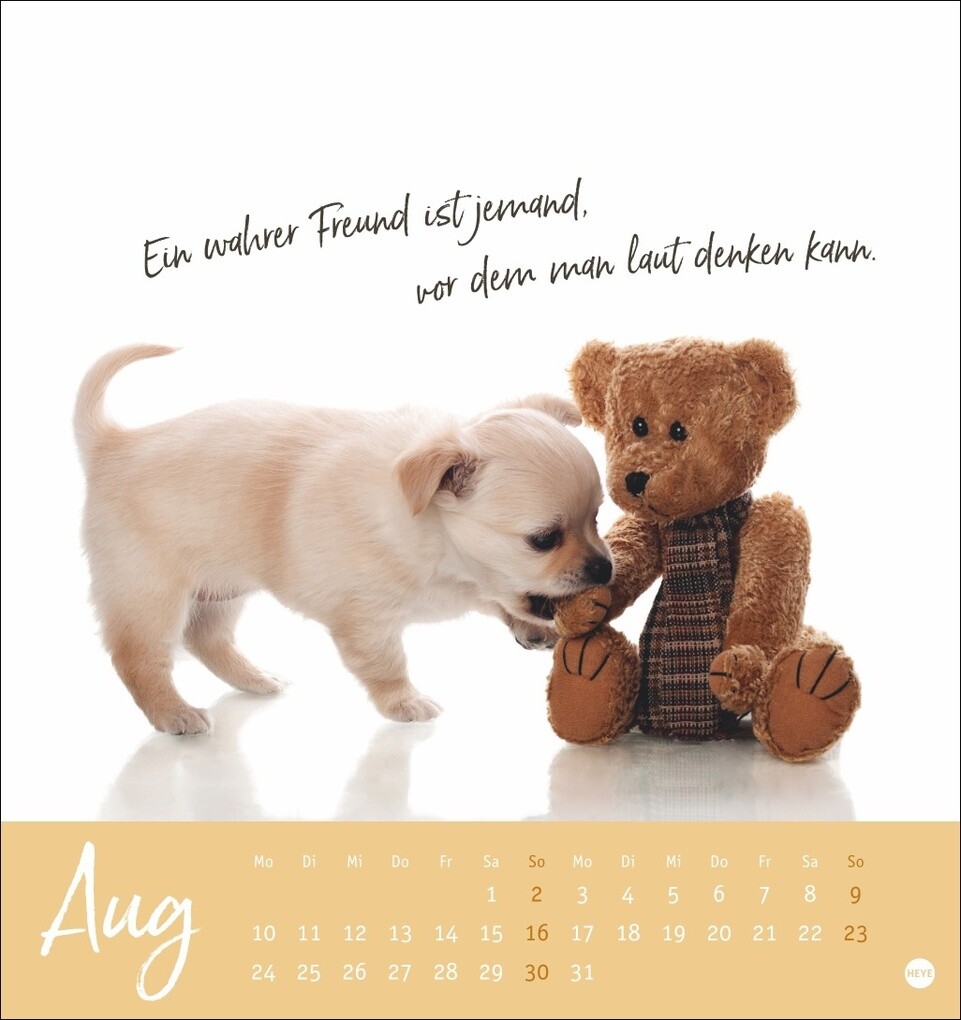 Weitere Ansicht: Ziemlich beste Freunde Postkartenkalender 2026 - Für immer dein